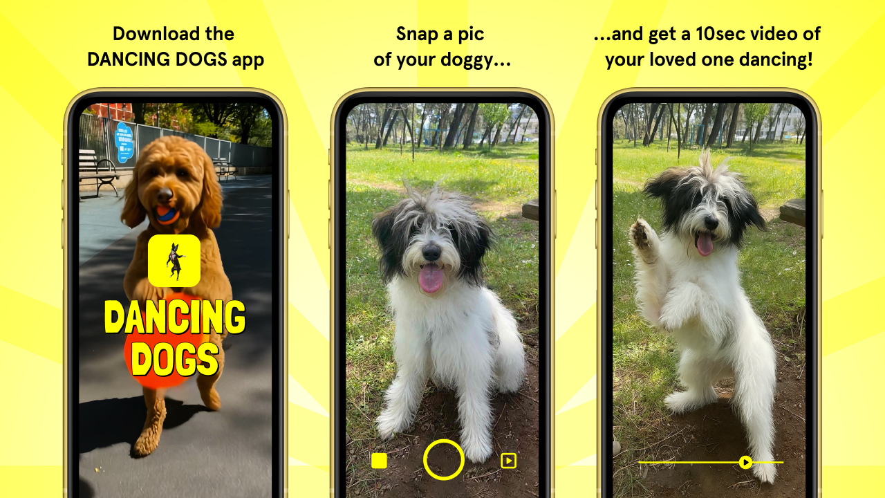 Dancing Dogs app