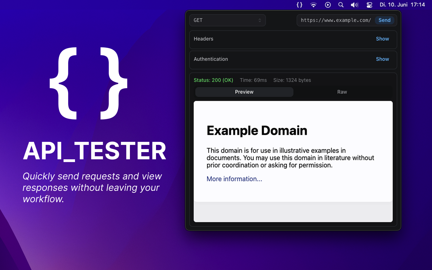 API_TESTER